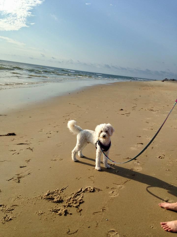 Nags Head, North Carolina, USA