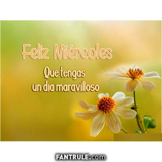 imagenes feliz miercoles frases gif