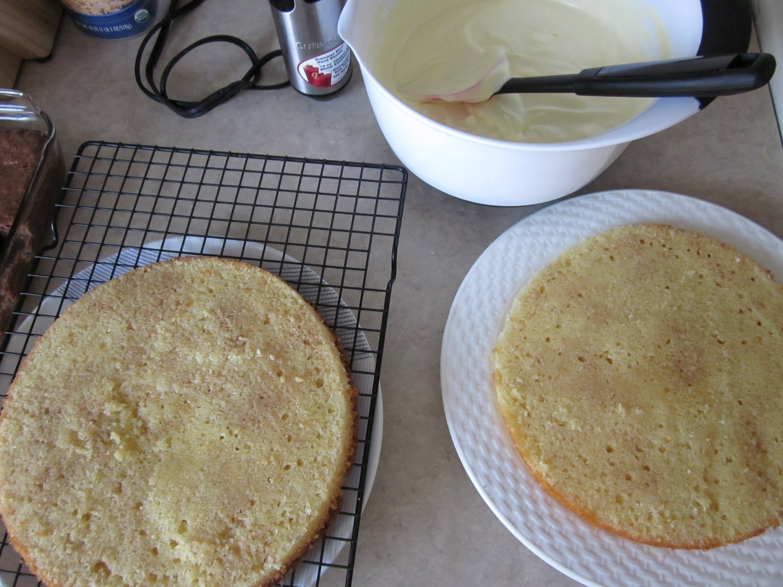 Gluten Free Tiramisu Cake | No One Likes Crumbley Cookies