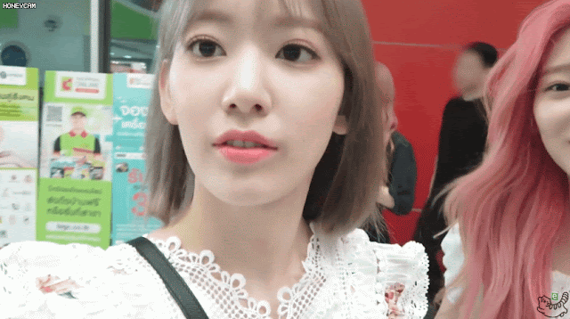 사쿠라  민주