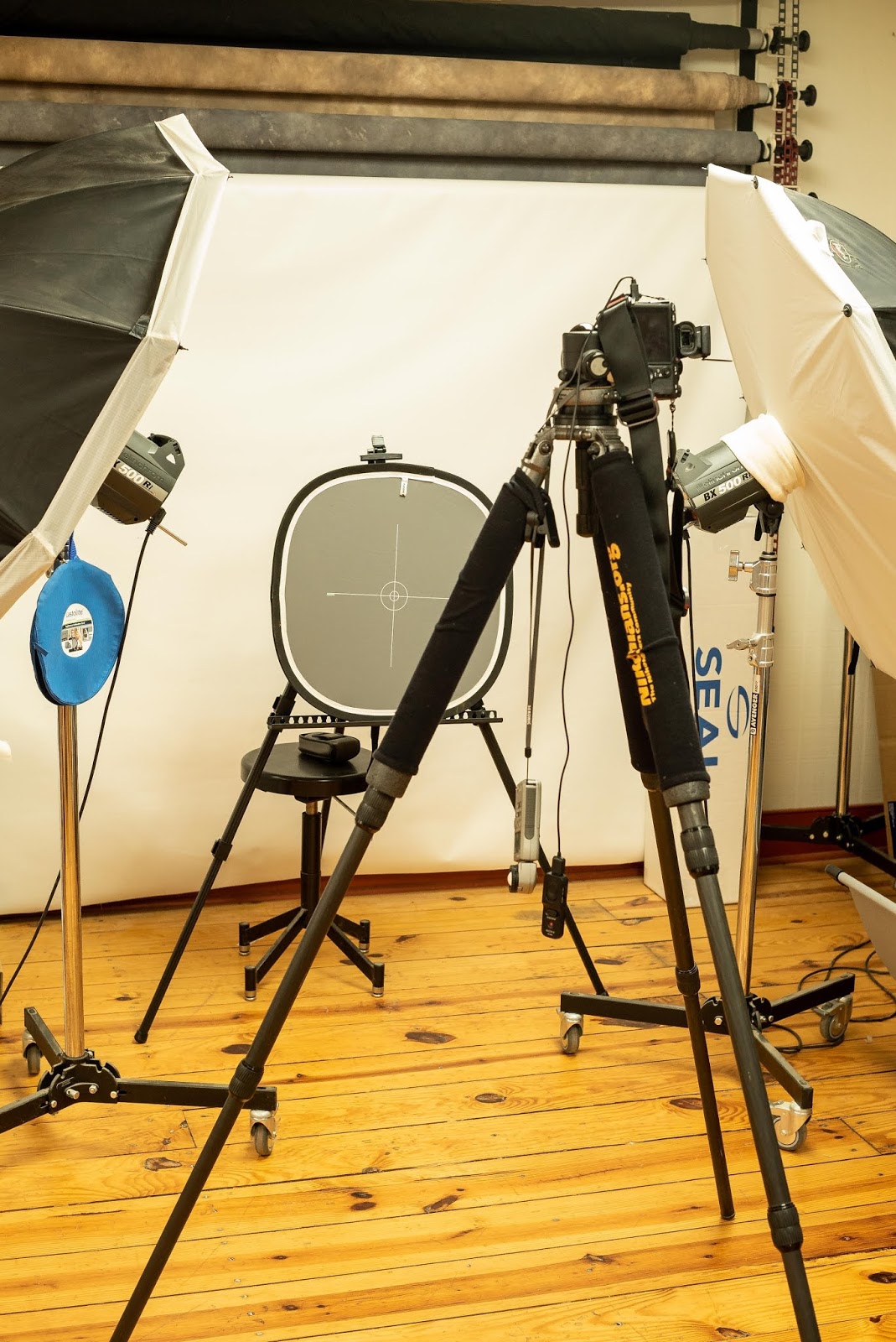 Bergs Canvas Gallery