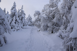 Góry Izerskie 11-12.01.2021