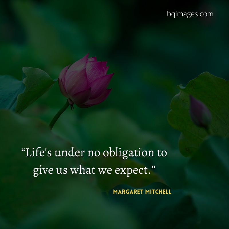 50+ Best Life Quotes In English for WhatsApp DP bqimages Beautiful