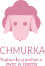 U chmurki