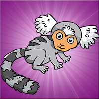 Games2Jolly The Marmoset …