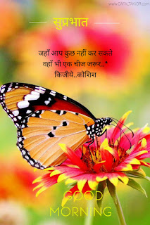Good morning wishes hindi & Quotes hindi 2021 | good morning thought in hindi images गुड मॉर्निंग मैसेज इन हिंदी