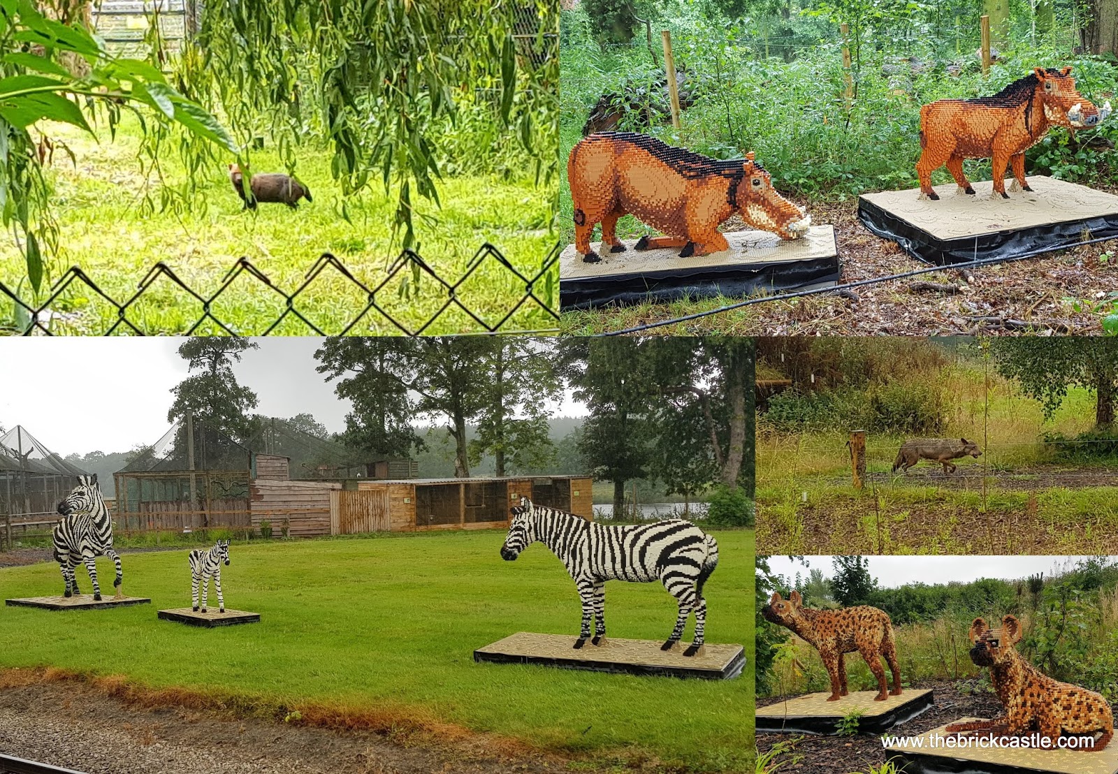 knowsley safari park accommodation