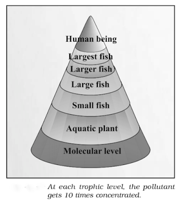 Soil Pollution