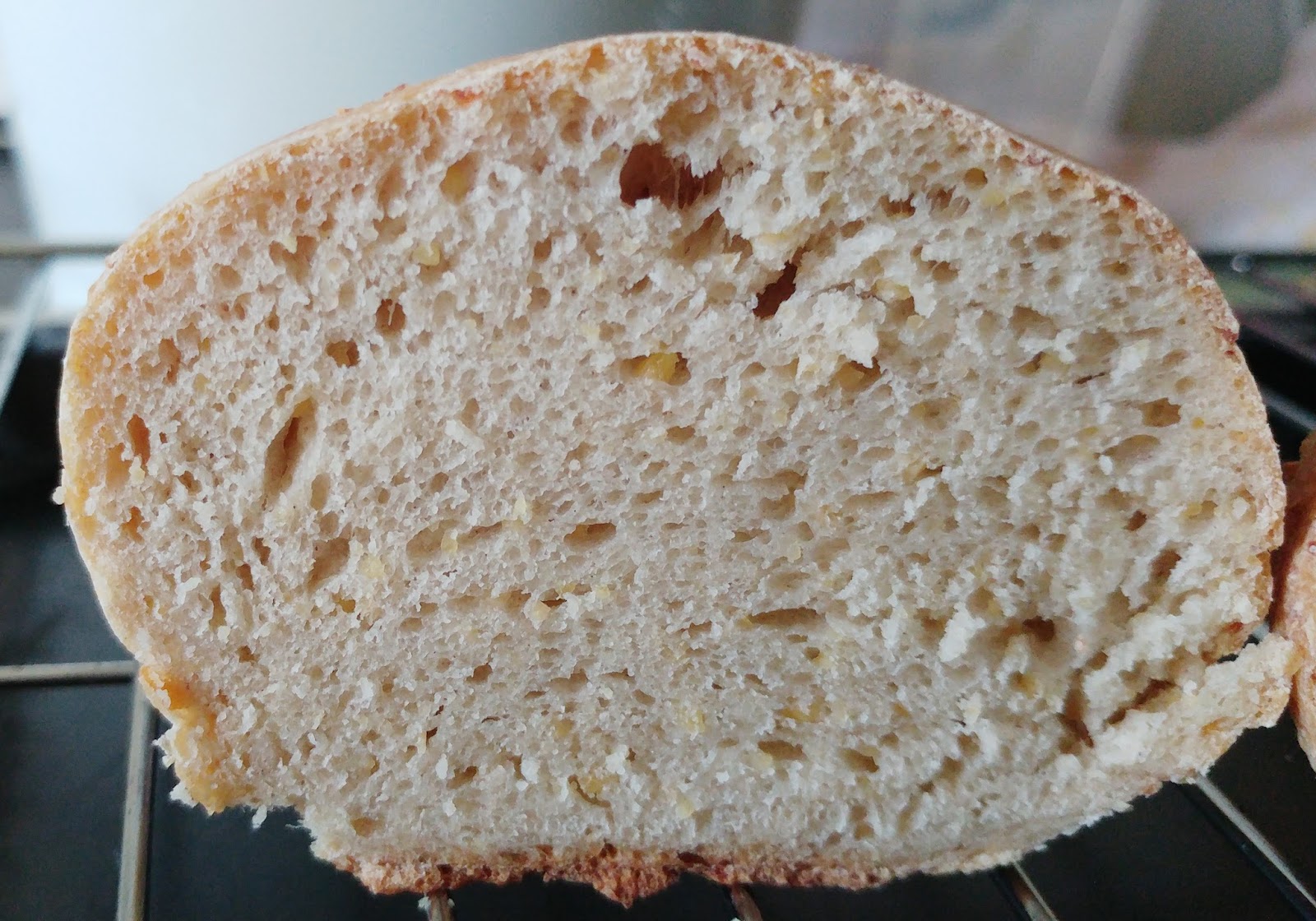 Bread Experiments Chapter 6 Overnight Poolish vs Weekold Poolish