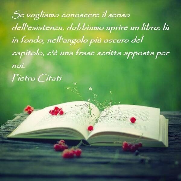 Libri