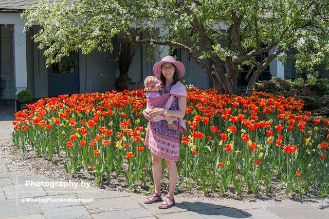 [Image of me, a light tan skin bespectacled Asian woman with dark brown hair, wearing a floppy purple sun hat, standing in front of a blooming tree surrounded by vibrant red tulips. I have a toddler on my hip in a robin's hip carry using a pinkish reddish linen woven wrap and both the darker and lighter sides of the wrap are visible. It is a sunny afternoon perfect for a linen wrap, my favorite purple sandals, and a floral sundress.]