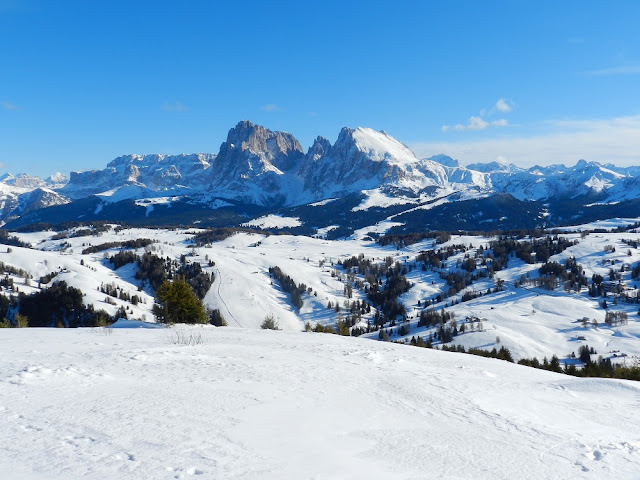 dolomiti alpe di siusi