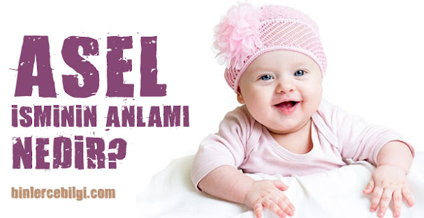 Asel ne demek? Asel isminin anlamı nedir? Asel adı kuranda geçiyor mu? Asel ismi hakkında kısa bilgiler. Asel isminin anlamı hakkında merak edilenler.. Asel ne demek? Asel isminin anlamı nedir? Asel adı kuranda geçiyor mu? Asel ismi hakkında kısa bilgiler. Asel isminin anlamı hakkında merak edilenler..