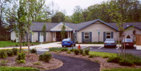 Henrique Autran Dourado: COMO PERDER QUALIDADE DE VIDA EM POUCAS LIÇÕES