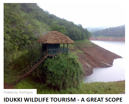  Stay at Idukki Jungles