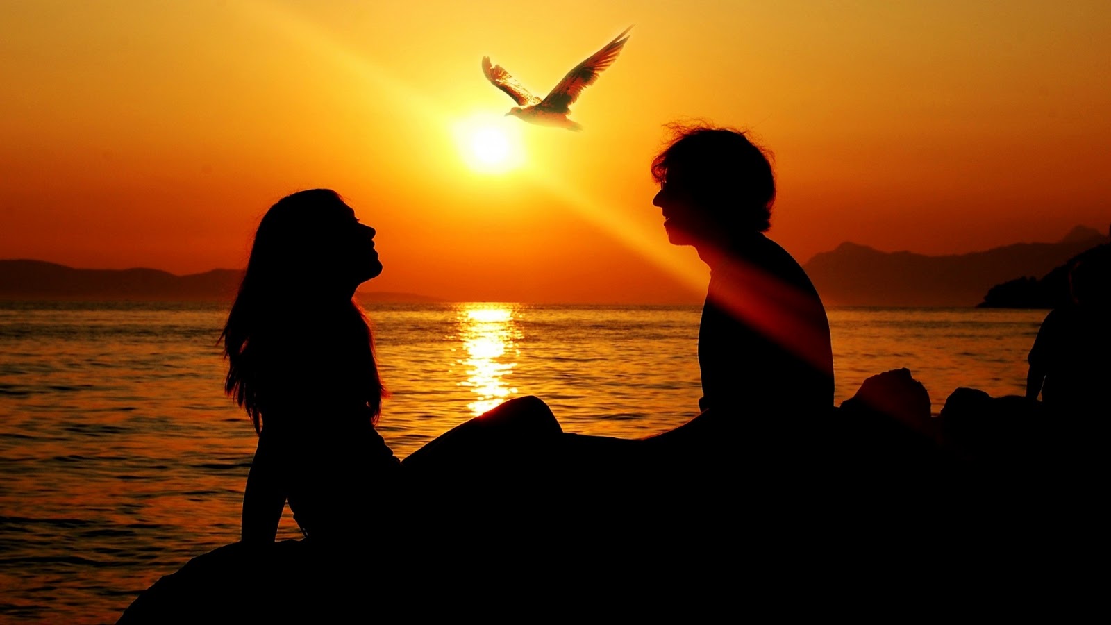 Love Couple In Sunset: ~ Love, Love Story, Love Gallery, Love wallpaper