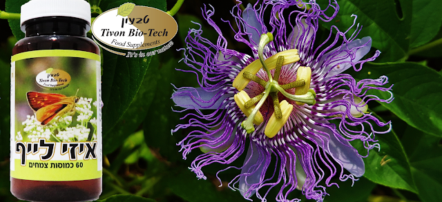 צמחי מרפא חושחש להרגעת מתחים