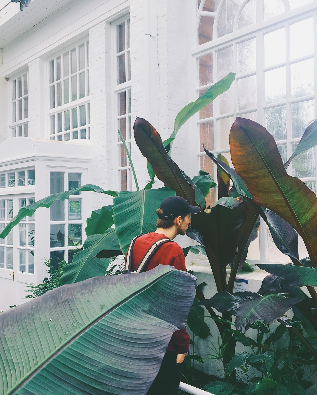 man in plants at butterfly house