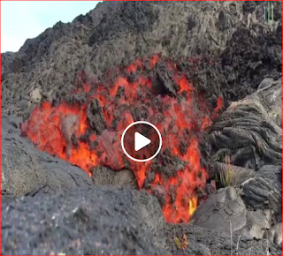 Amazing Videos Free Download By Linkaty.us - Best URL S