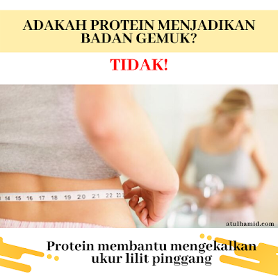 Adakah Protein Menjadikan Badan Gemuk