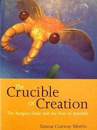 The Crucible of Creation, The Burgess Shale and the Rise of Animals