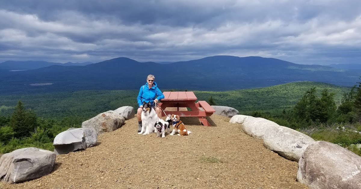 Walking with Dogs in Greater Newburyport Quill Hill at Rangeley, Maine