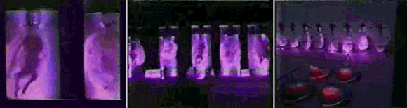 Enhanced Human Resources Research and Archive of Unexplained Scenarios ...