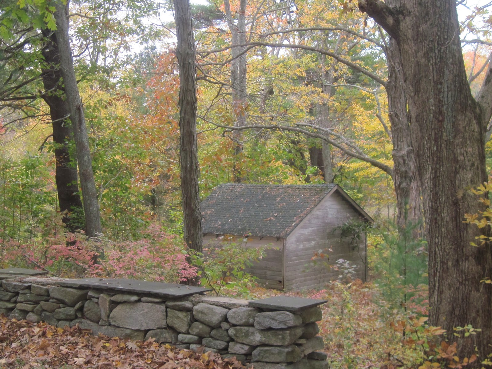Focus On Killingworth, CT and Surrounding Towns Scenic Barns and Sheds