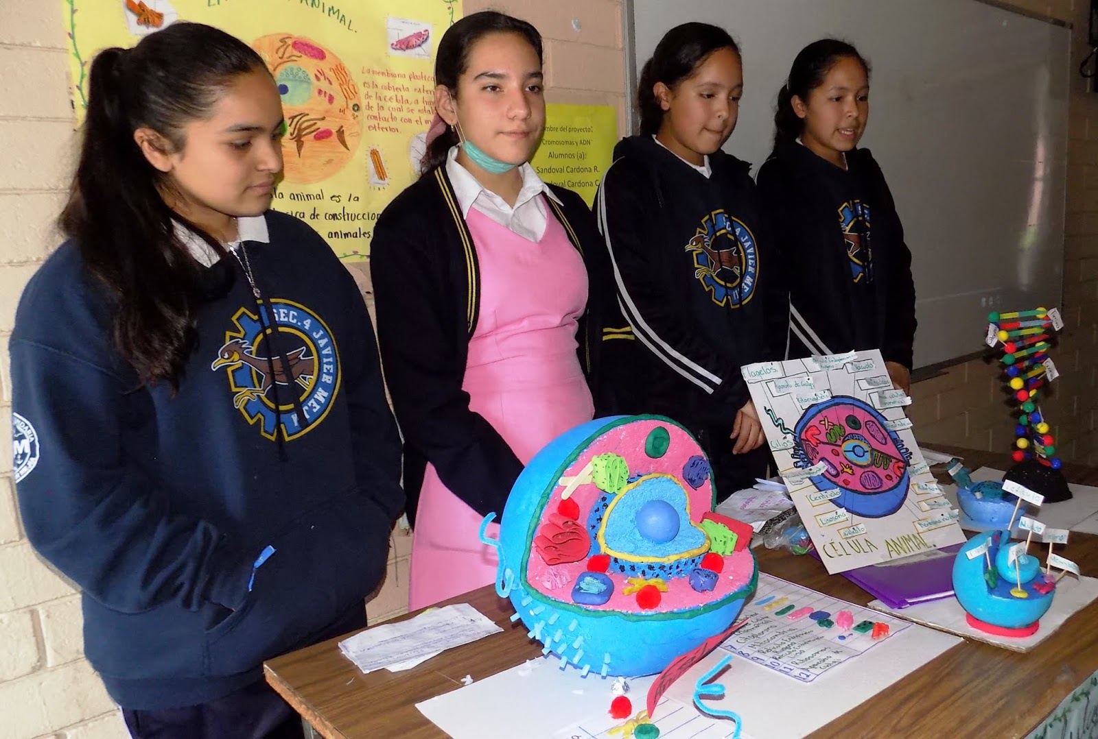 Ideas De Proyectos Escolares Para Secundaria bceducacion.blogspot.com