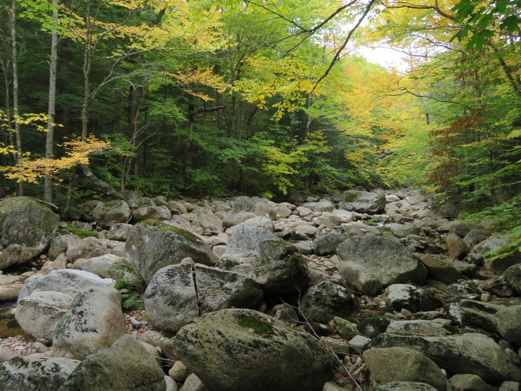 Mountain Wandering Flat Mountain Pond 10/3/19