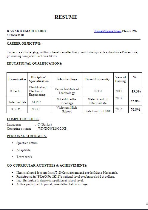executive resume example free download