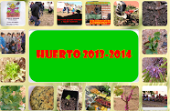 CURSO 2013-2014: INICIO HUERTO ESCOLAR ECOLÓGICO