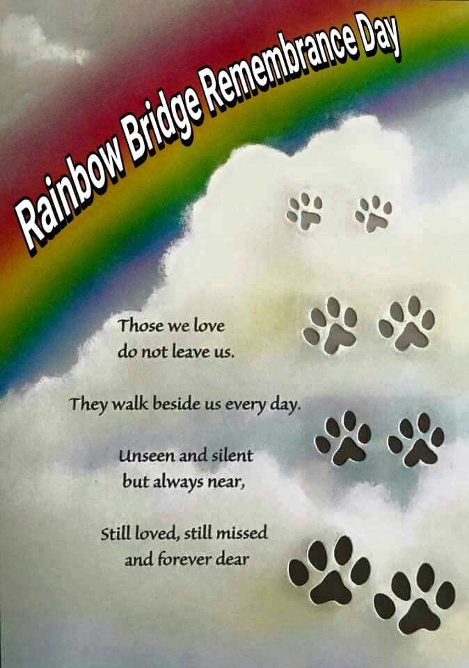 Rainbow Bridge Remembrance Day Wishes Images Whatsapp Images