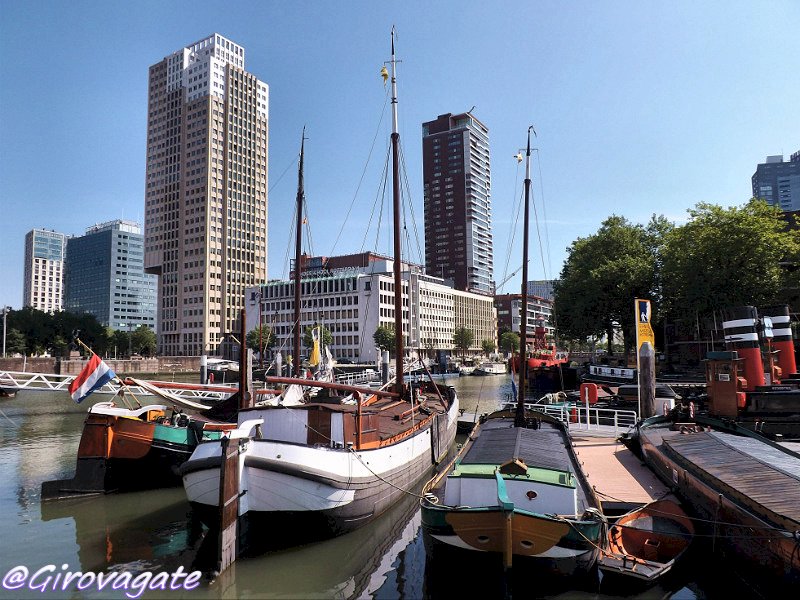 rotterdam cosa vedere tre giorni