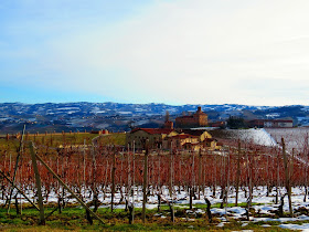 A Spasso Tra I Giganti Langhe Tra Cavatappi E Panchine