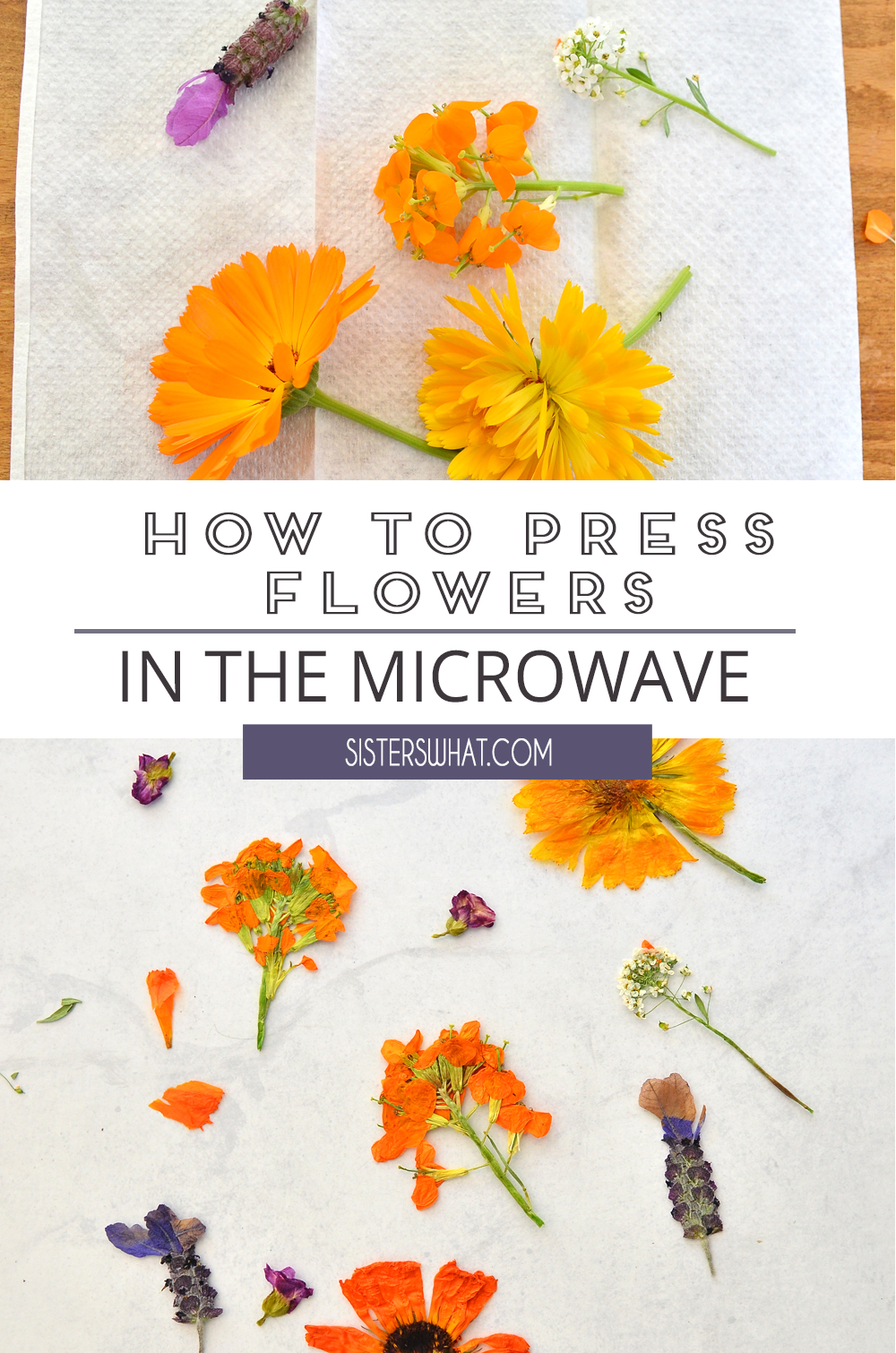 How to Quickly Dry Press Flowers in the Microwave - 2 Bees in a Pod