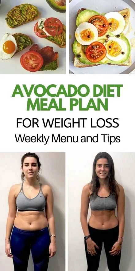 Avocado Diet Meal Plan for Weight Loss - Weekly Menu and Tips