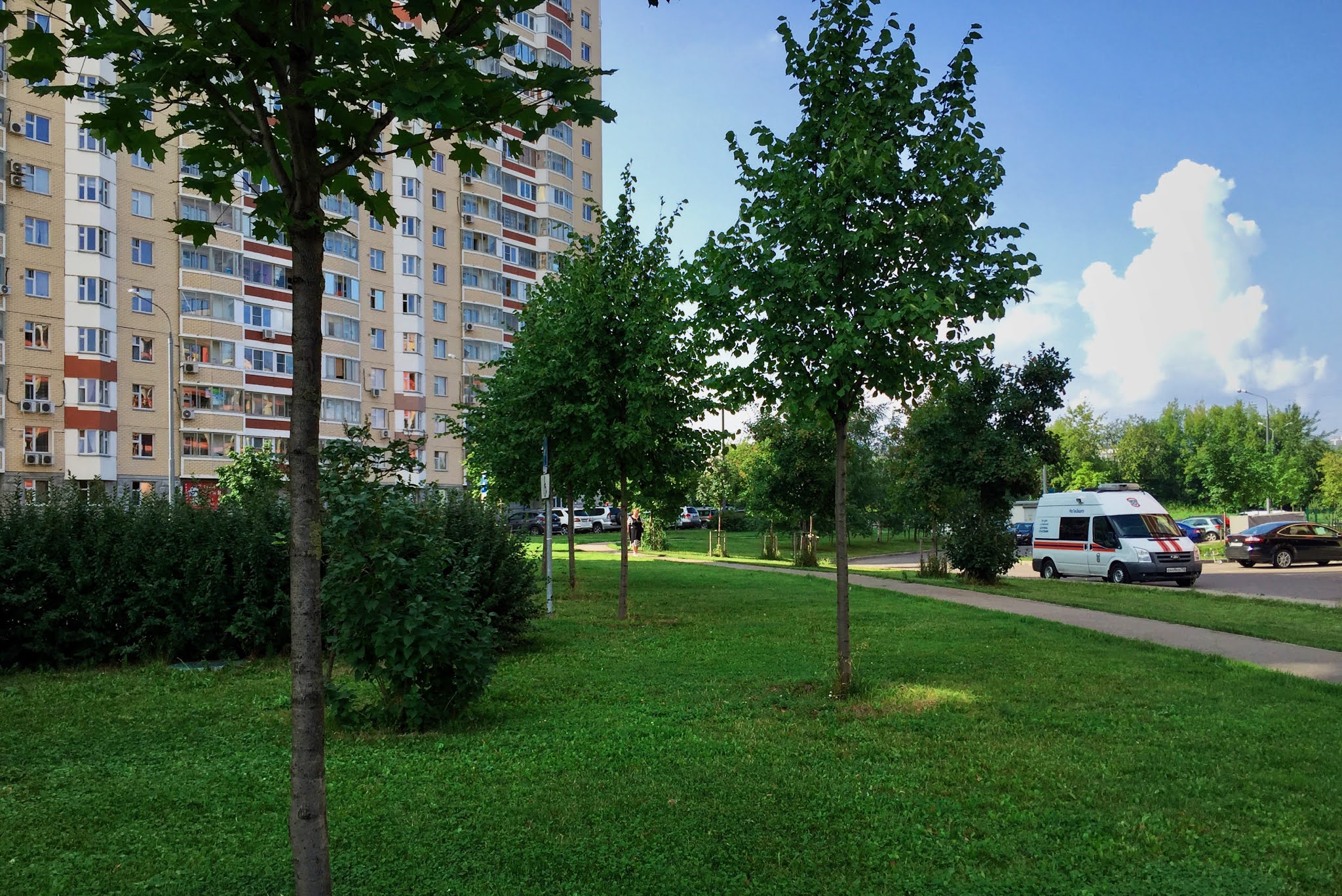 медведково отрадное