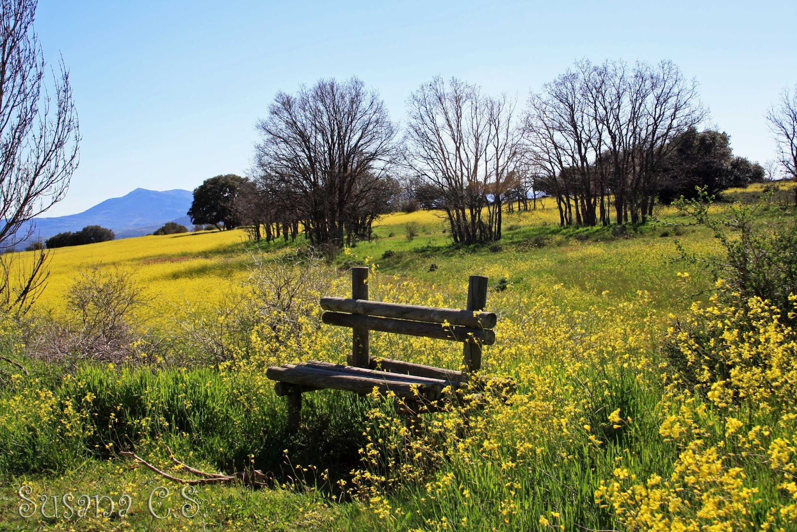Sierra del Rincón (Madrid)