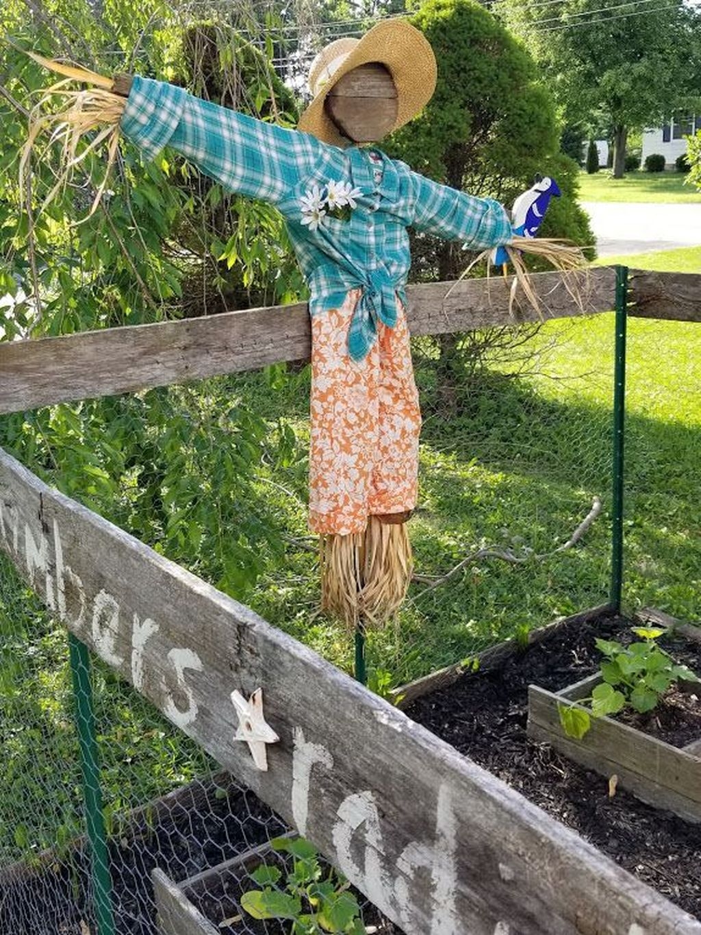 20+ Fabulous Garden Scarecrow Ideas