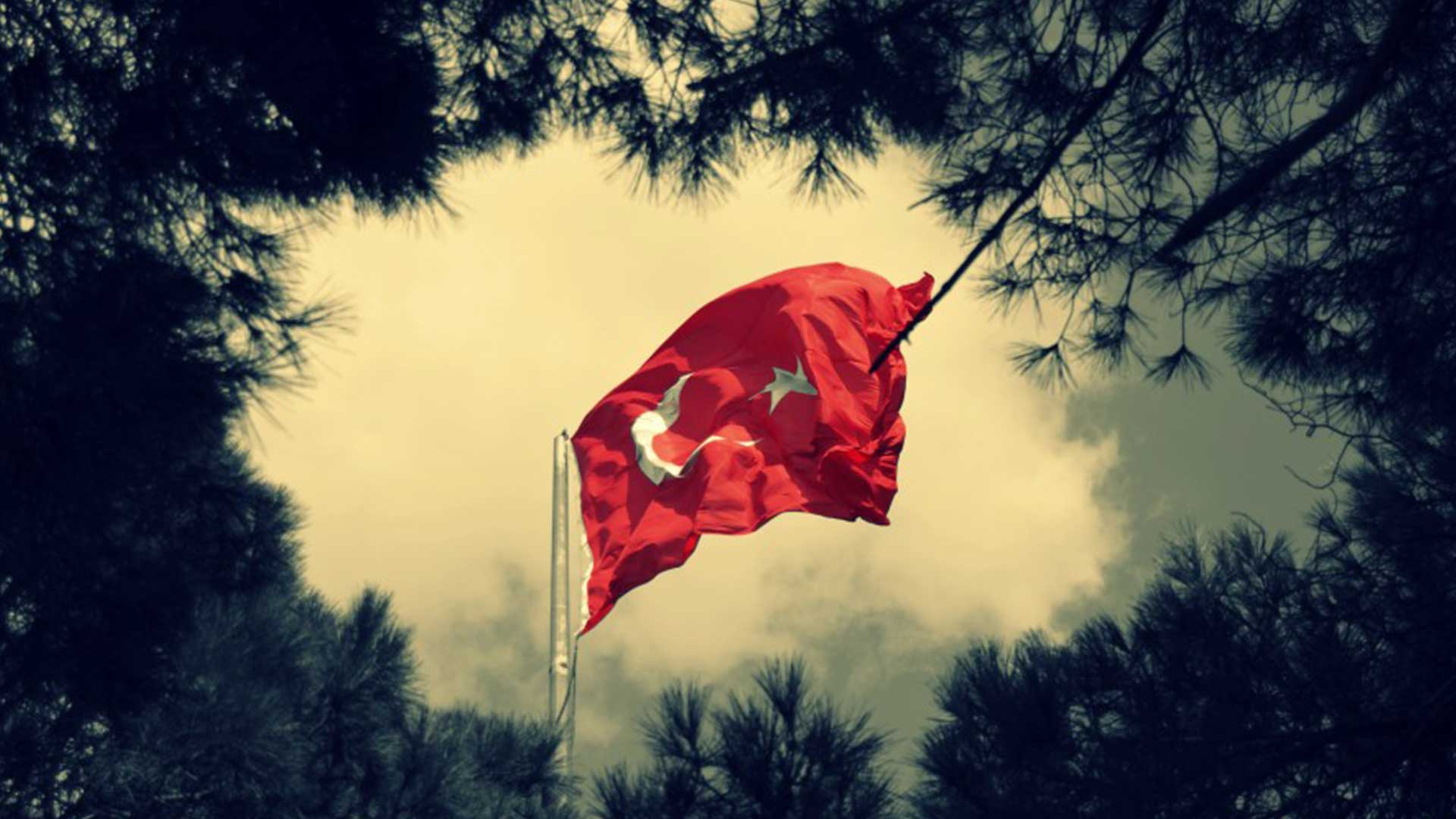 Turk bayragi resimi 6