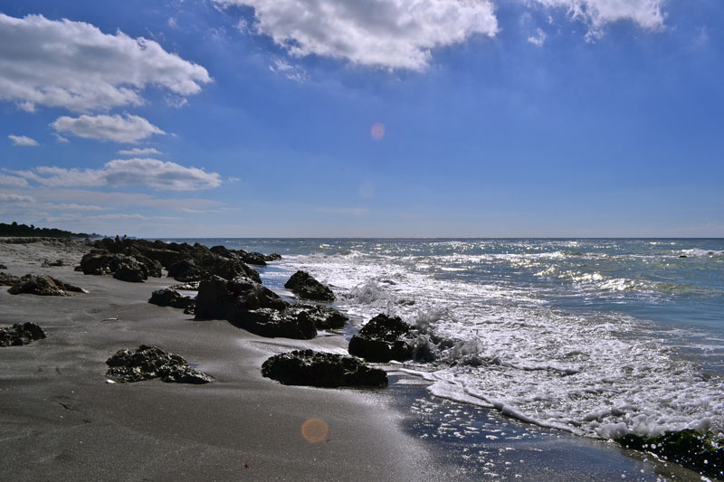 Where's Eldo? Caspersen Beach in Venice, FL