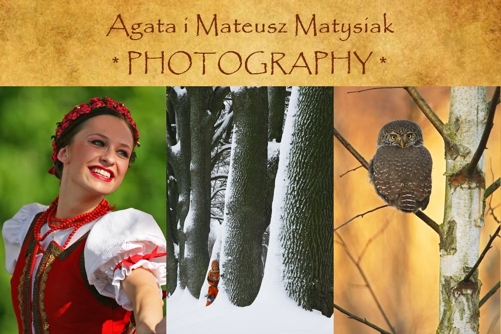 Agata i Mateusz Matysiak * PHOTOGRAPHY