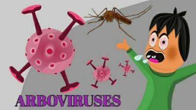 Arboviruses: Types, Symptoms, Causes, Treatment