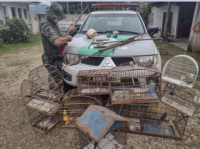 Polícia Ambiental apreende armamento para caça e pássaros silvestres em Juquiá