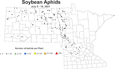 Map of aphid incidence in soybean fields in Minnesota and North Dakota