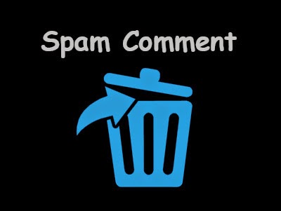 Remove Spam Comment