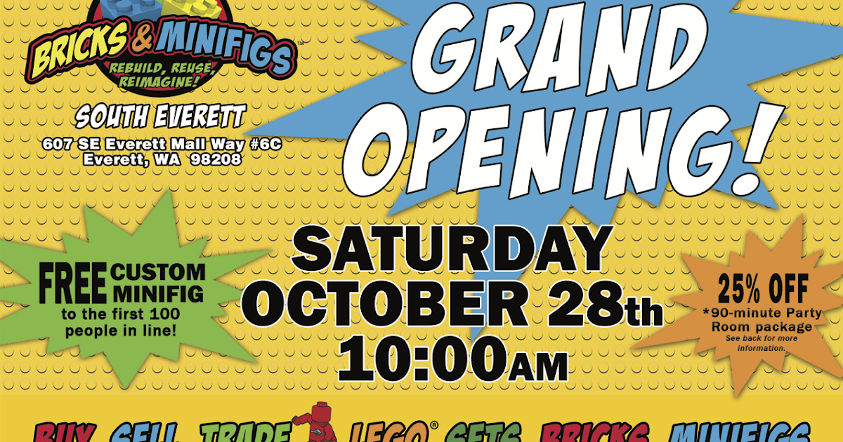 bricks and minifigs party