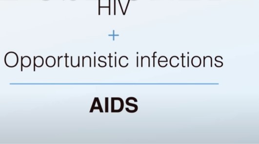 IMMUNITY vs HIV and AIDS