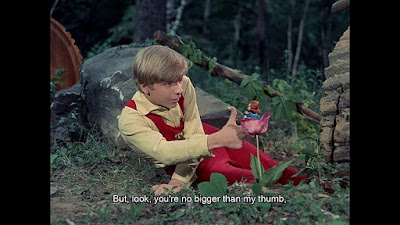 The Daydreamer 1966 Movie Image 1